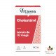 VITAVEA CHOLESTEROL LEVURE DE RIZ ROUGE