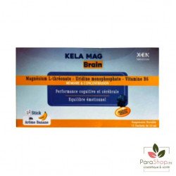 KELA MAG BRAIN 15 SACHETS 