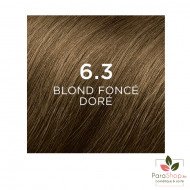PHYTOCOLOR - 6.3 BLOND FONCÉ DORÉ PHYTOCOLOR - 6.3 BLOND FONCÉ DORÉ