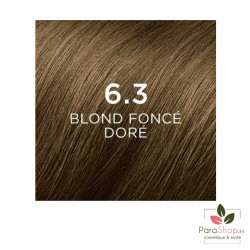 PHYTOCOLOR - 6.3 BLOND FONCÉ DORÉ PHYTOCOLOR - 6.3 BLOND FONCÉ DORÉ