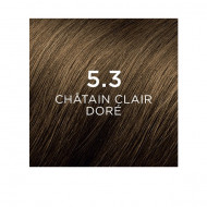 PHYTOCOLOR 5.3 CHÂTAIN CLAIR DORÉ PHYTOCOLOR 5.3 CHÂTAIN CLAIR DORÉ