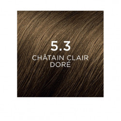 PHYTOCOLOR 5.3 CHÂTAIN CLAIR DORÉ PHYTOCOLOR 5.3 CHÂTAIN CLAIR DORÉ