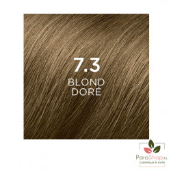 PHYTOCOLOR - COULEUR SOIN 7.3 BLOND DORE